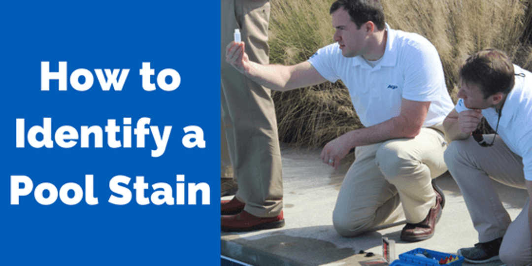 Identify a Pool Stain America's Swimming Pool Company