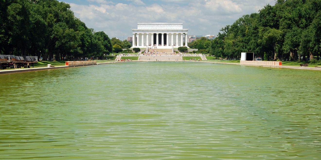 Green Lincoln Memorial Reflecting Pool in Washington DC