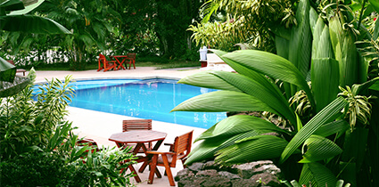 Designing a Resort-Style Backyard: Your Ultimate Guide to a Luxury Pool Oasis Photo