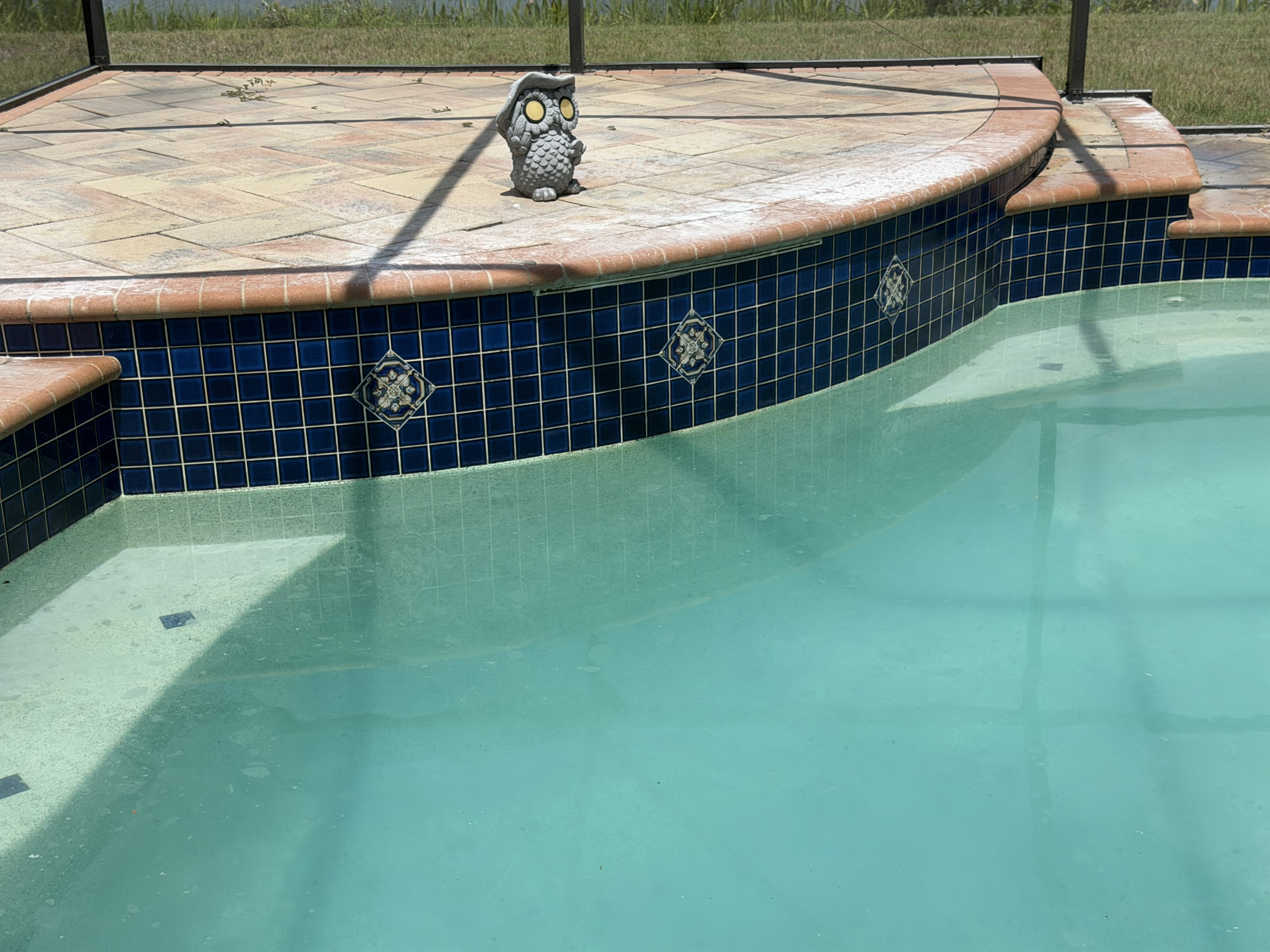 A swimming pool inside of a lanai