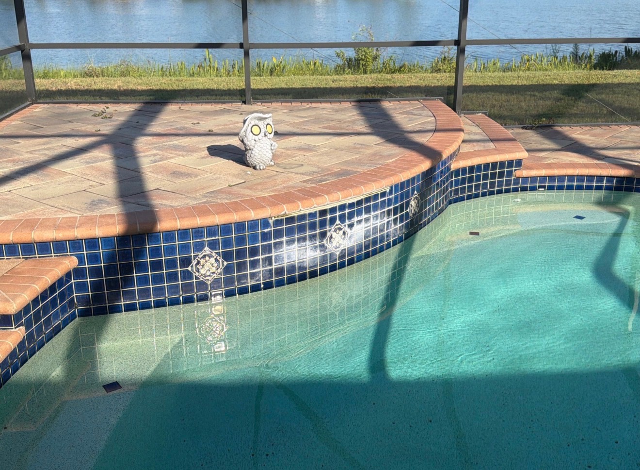 A swimming pool inside of a lanai