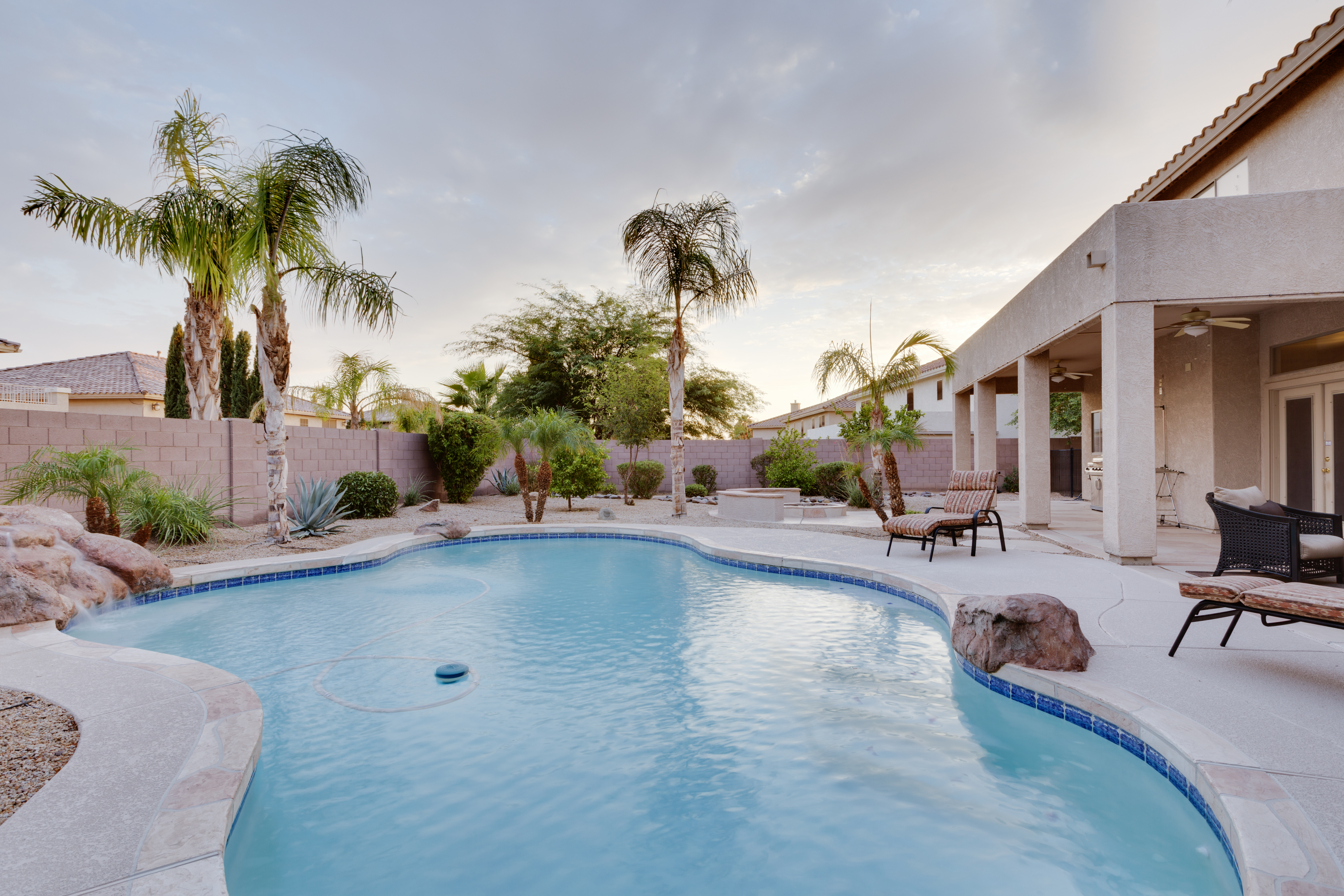 backyard pool surrounded by palm trees